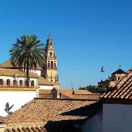 La Mirada De La Juderia Leilighet Córdoba Eksteriør bilde